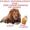 lion.jpg