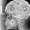 how your brain works.jpg