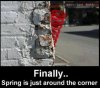spring.jpg