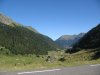 IMG_5235.jpg