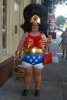 1263897-funny_wonder_woman_super.jpg