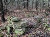 buried body.jpg