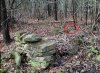 buried body-circled resized.jpg