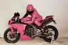 ramrider.jpg