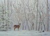 2deer.jpg