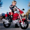 Peg-Perego-Ducati-Monster-12v-kids-electric-motorbike-1-e1323292579705.jpg